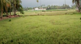 5 acres land in Asulia