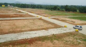 5acres land in asulia